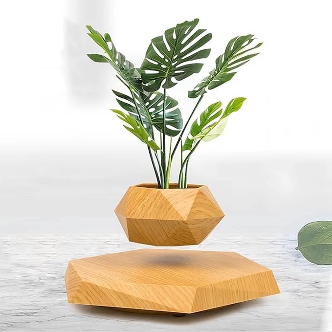 Magnetic Floating Flower Pot