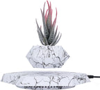 Magnetic Floating Flower Pot
