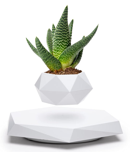 Magnetic Floating Flower Pot