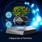 Magnetic Floating Flower Pot
